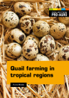 Quail farming in tropical regions